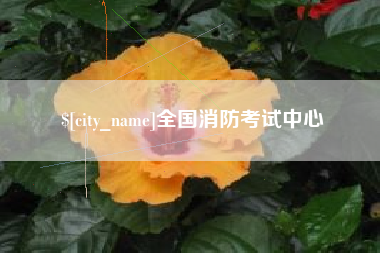 巨野全国消防考试中心