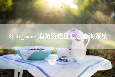 巨野消防资格证怎么查询系统