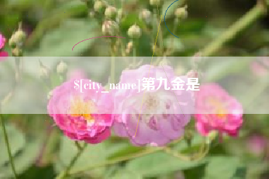 巨野第九金是