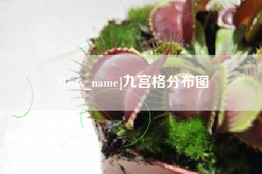 巨野九宫格分布图