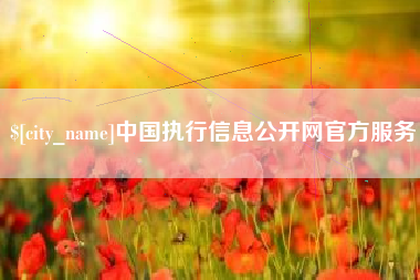巨野中国执行信息公开网官方服务