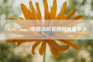 巨野中国消防官网网址是多少