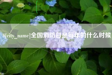 巨野全国消防日是每年的什么时候