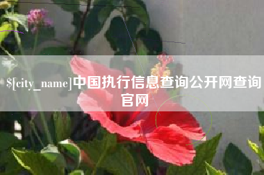 巨野中国执行信息查询公开网查询官网