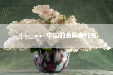 巨野中国的金牌有几名