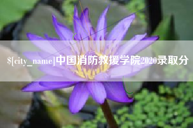 巨野中国消防救援学院2020录取分