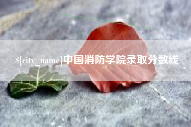 巨野中国消防学院录取分数线