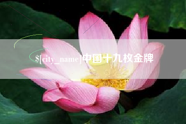巨野中国十九枚金牌