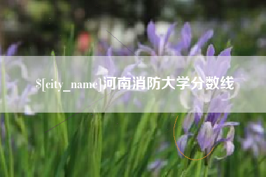 巨野河南消防大学分数线