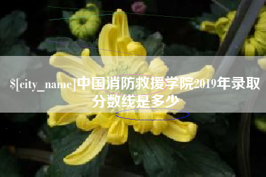 巨野中国消防救援学院2019年录取分数线是多少
