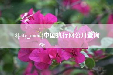 巨野中国执行网公开查询