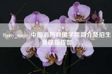 巨野中国消防救援学院简介及招生章程指挥部