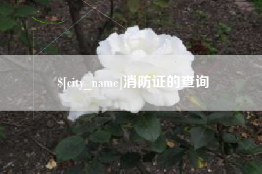 巨野消防证的查询