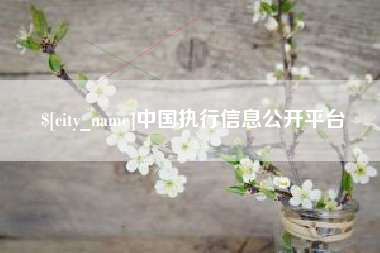 巨野中国执行信息公开平台