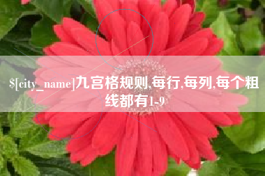 巨野九宫格规则,每行,每列,每个粗线都有1-9