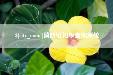 巨野消防证初级查询系统
