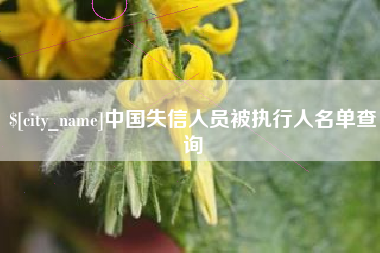 巨野中国失信人员被执行人名单查询