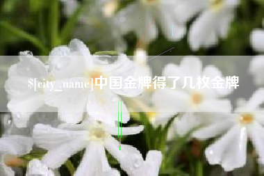 巨野中国金牌得了几枚金牌