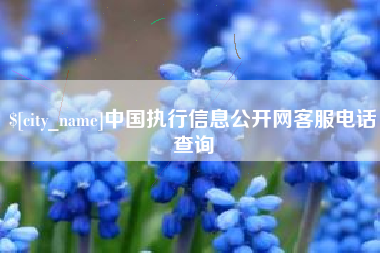 巨野中国执行信息公开网客服电话查询