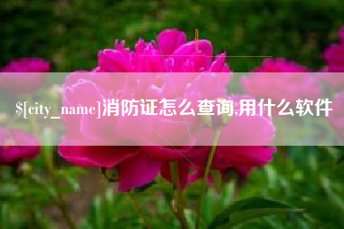 巨野消防证怎么查询,用什么软件