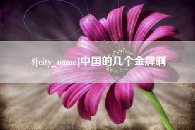 巨野中国的几个金牌啊