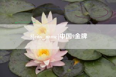 巨野中国9金牌