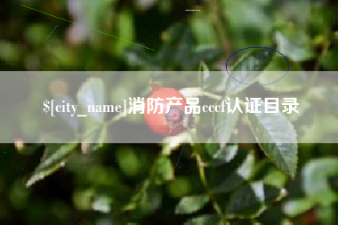 巨野消防产品cccf认证目录