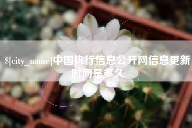 巨野中国执行信息公开网信息更新时间是多久