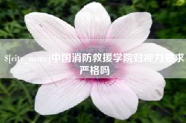 巨野中国消防救援学院对视力要求严格吗