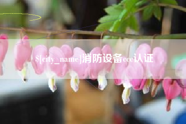 巨野消防设备ccc认证