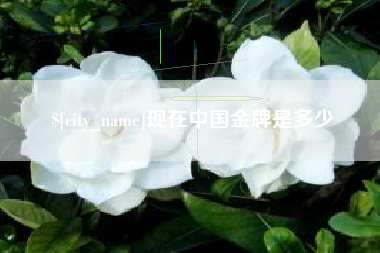 巨野现在中国金牌是多少