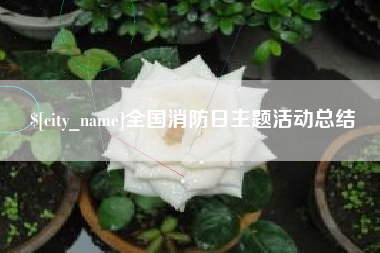 巨野全国消防日主题活动总结