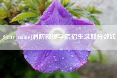 巨野消防救援学院招生录取分数线