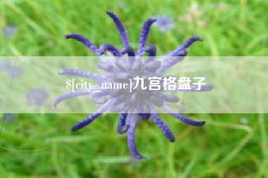巨野九宫格盘子