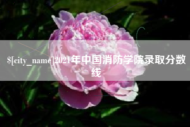 巨野2021年中国消防学院录取分数线