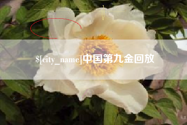 巨野中国第九金回放
