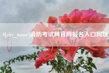 巨野消防考试网官网报名入口网址