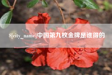 巨野中国第九枚金牌是谁得的