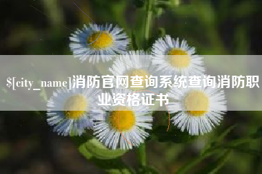 巨野消防官网查询系统查询消防职业资格证书