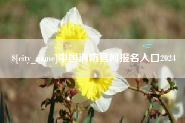 巨野中国消防官网报名入口2024
