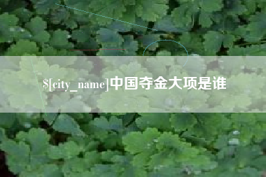 巨野中国夺金大项是谁