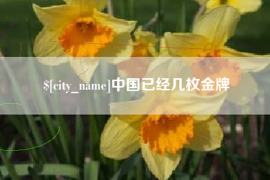巨野中国已经几枚金牌