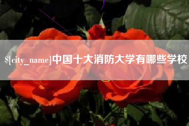 巨野中国十大消防大学有哪些学校