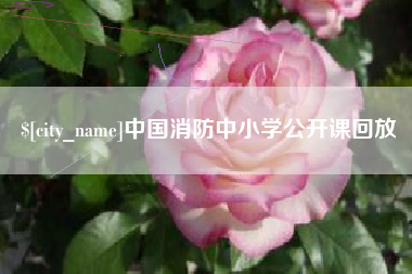 巨野中国消防中小学公开课回放