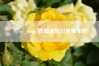 巨野我国消防日是每年的