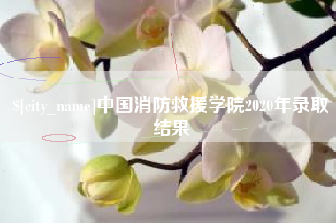 巨野中国消防救援学院2020年录取结果