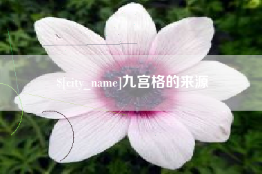 巨野九宫格的来源
