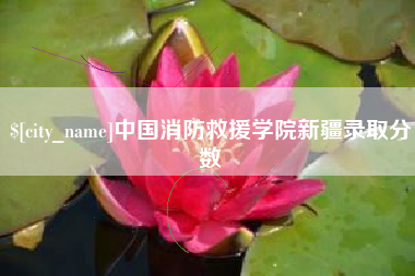 巨野中国消防救援学院新疆录取分数