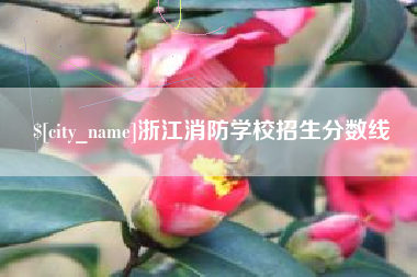 巨野浙江消防学校招生分数线