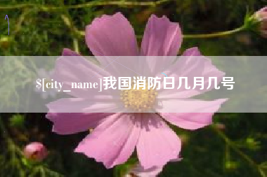巨野我国消防日几月几号